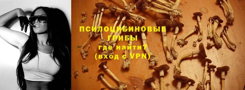 Галлюциногенные грибы Magic Shrooms  Калачинск 